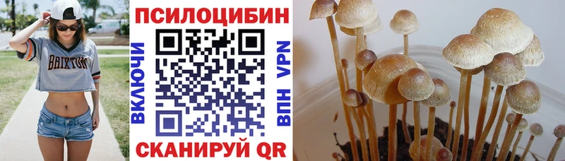 Псилоцибиновые грибы ЛСД  Юрьев-Польский 